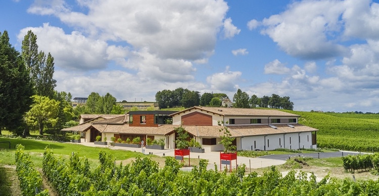 Château Fleur Cardinale domaine